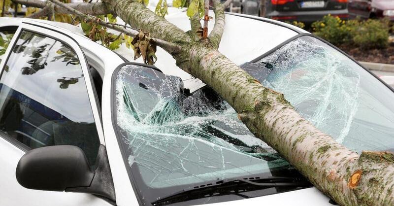 Chi paga se un&#039;albero mi cade sull&#039;auto? Assicurazione o il comune?