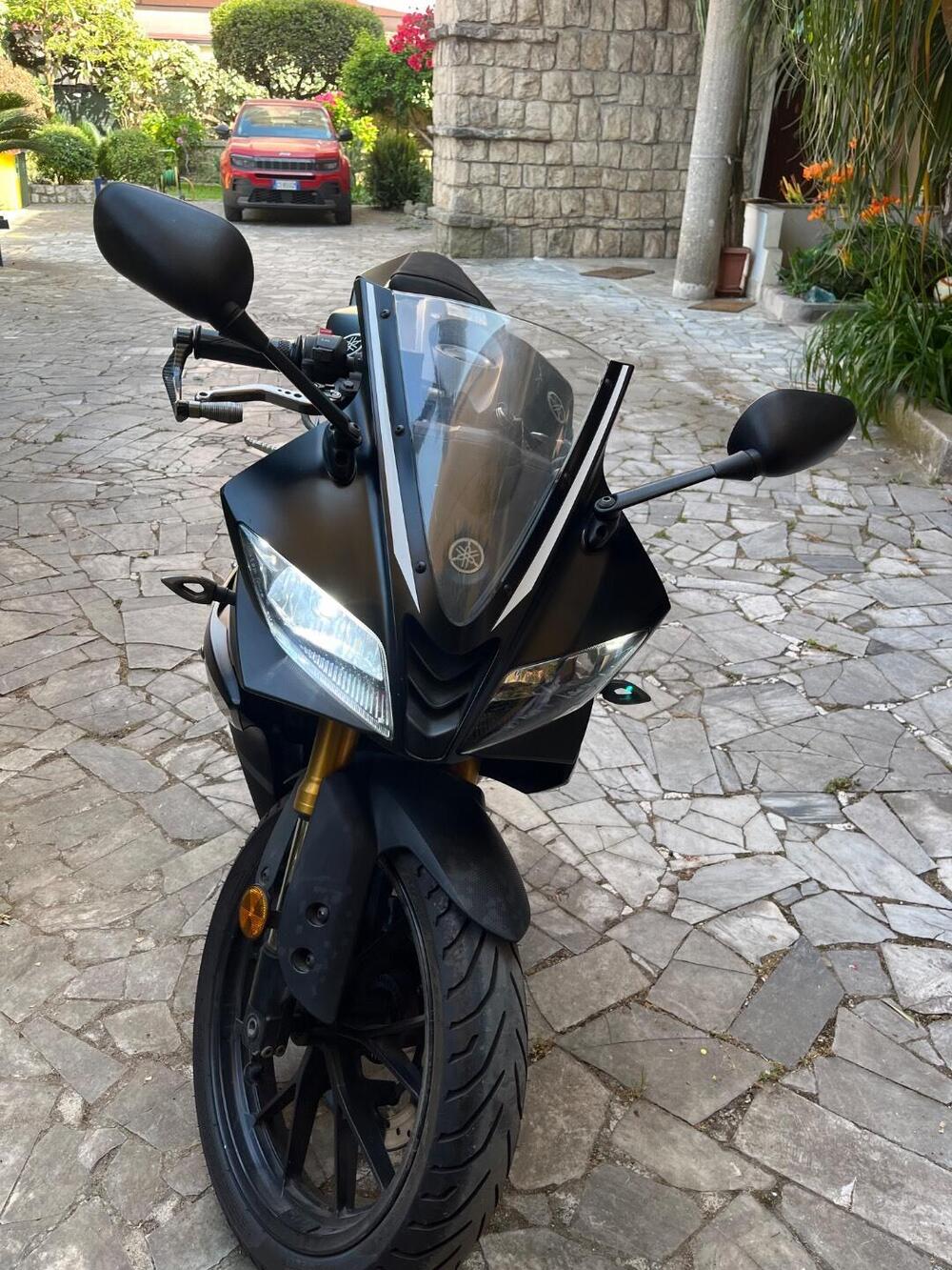 Yamaha YZF R125 (2017 - 18) (3)