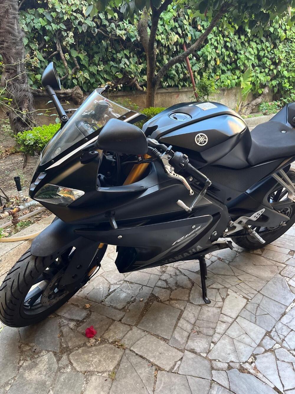 Yamaha YZF R125 (2017 - 18) (8)