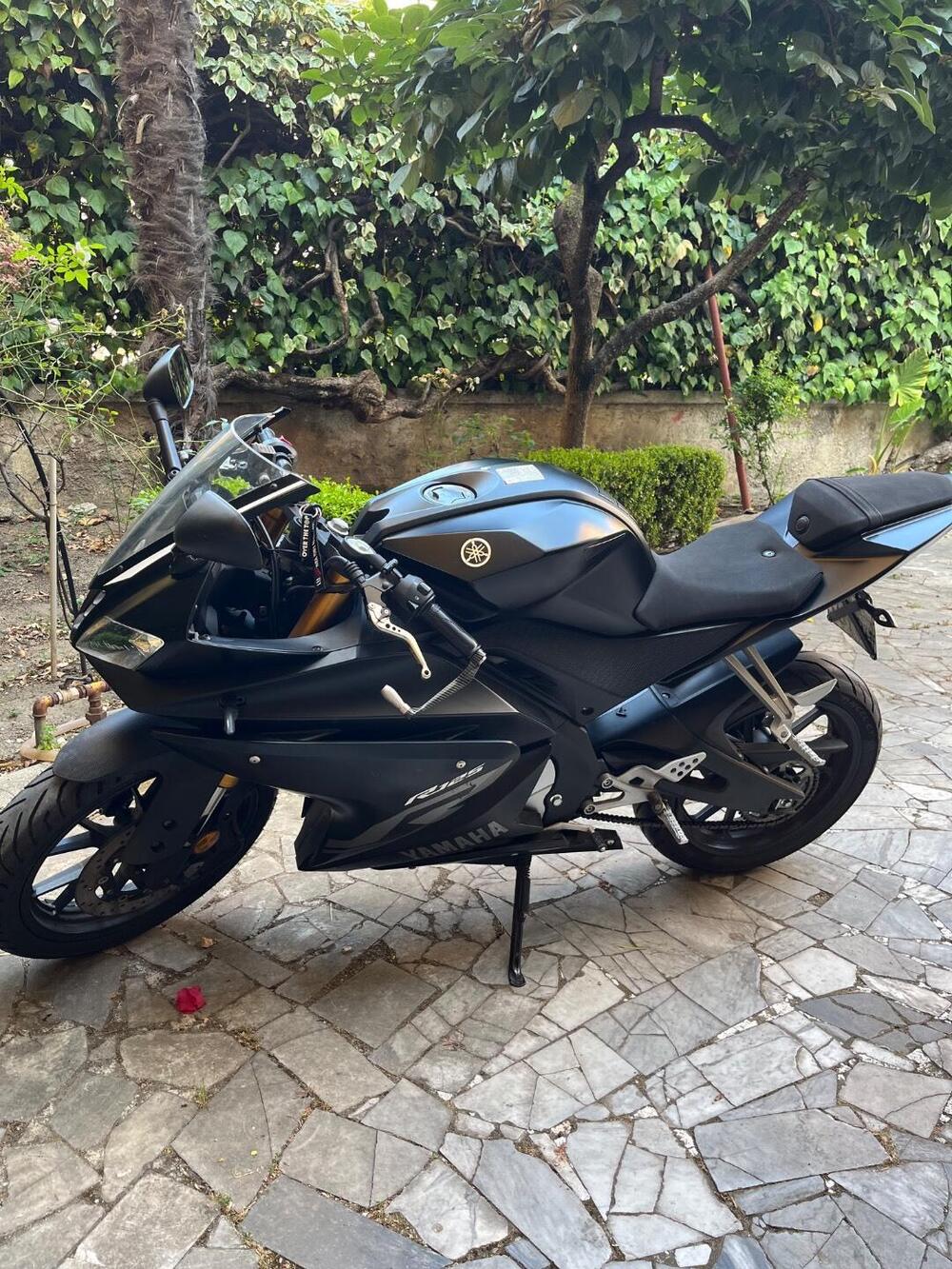 Yamaha YZF R125 (2017 - 18) (4)