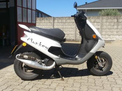 Peugeot Speedake 50 usata