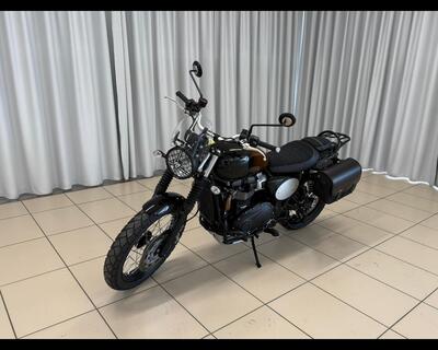Triumph Scrambler 900 Stealth Edition (2024) usata