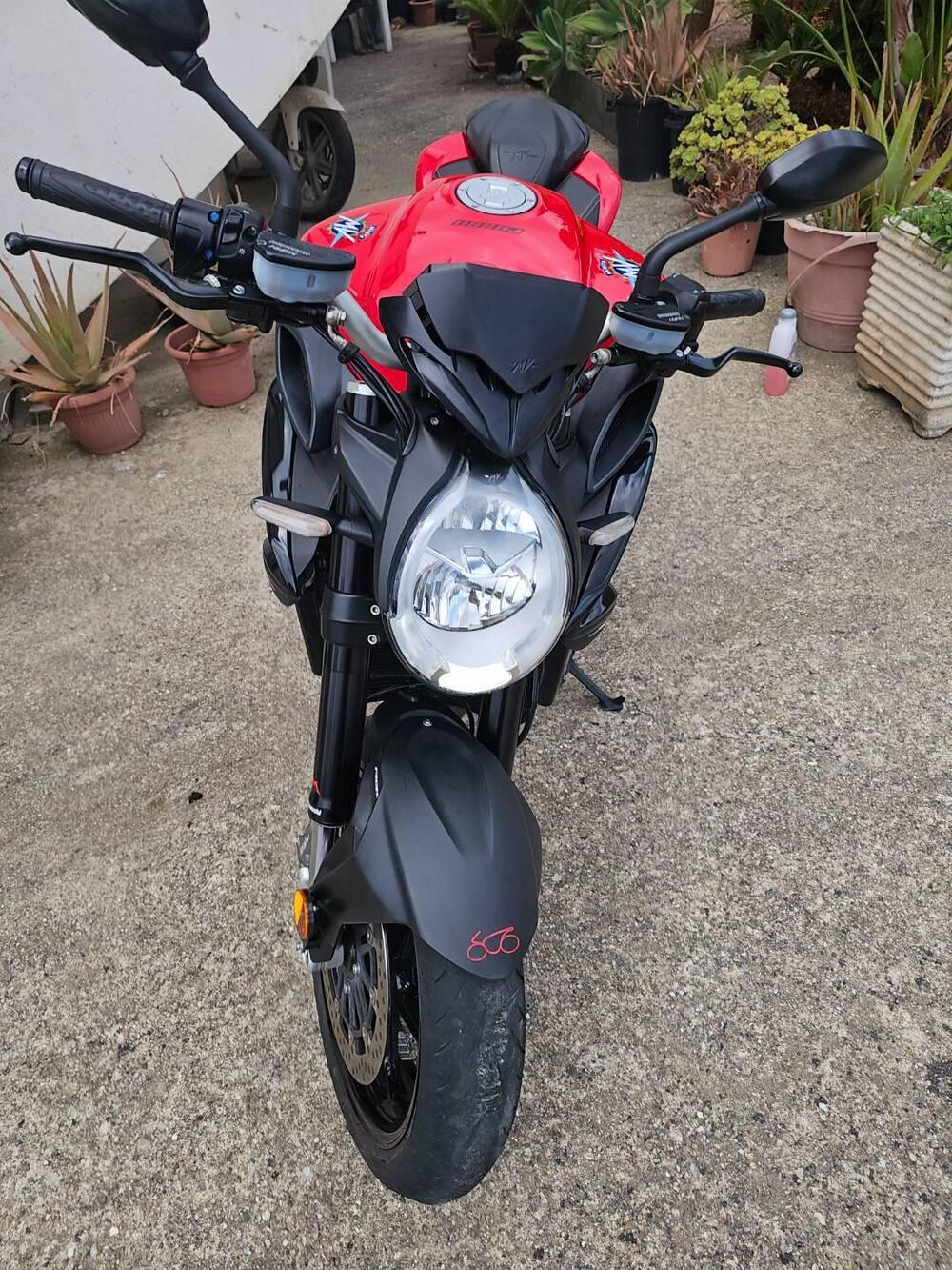 MV Agusta Brutale 800 Rosso (2021 - 23) (3)