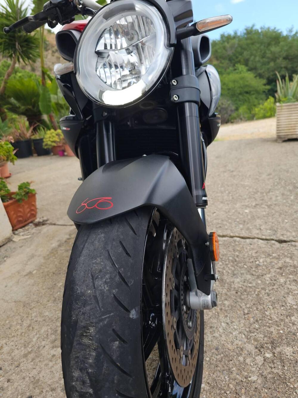 MV Agusta Brutale 800 Rosso (2021 - 23) (4)