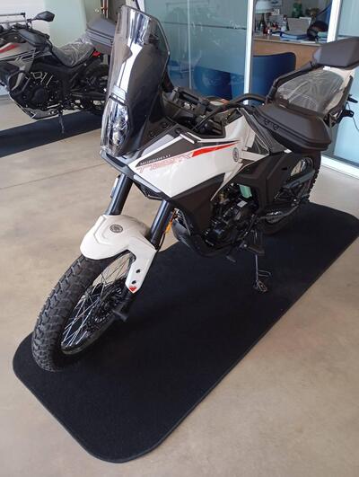 Morbidelli T125X (2025) nuova