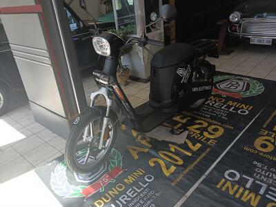 Askoll eS Pro 45 (2019 - 22) usata