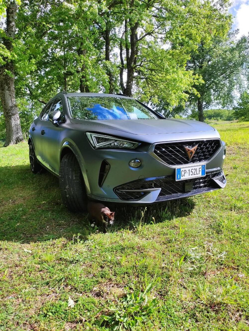 Cupra Formentor usata a Campobasso (3)
