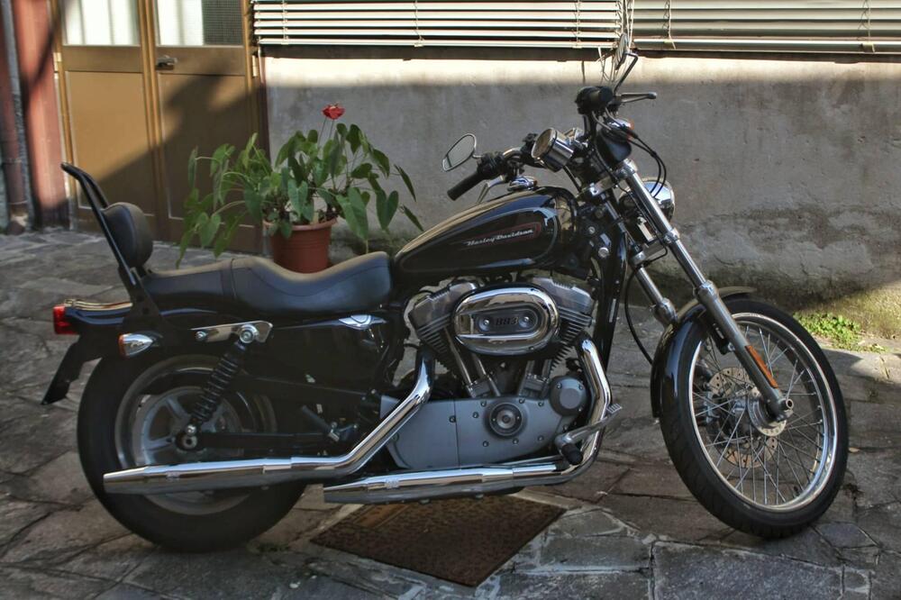 Harley-Davidson 883 Custom (2008 - 12) - XL 883C (2)