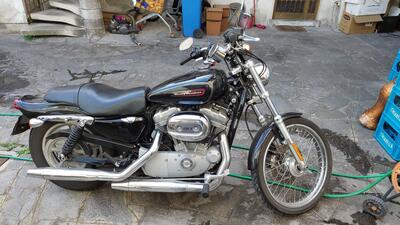 Harley-Davidson 883 Custom (2008 - 12) - XL 883C usata