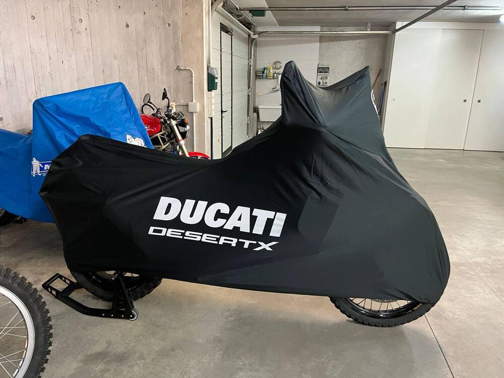 Ducati DesertX Rally (2024 - 25) (18)