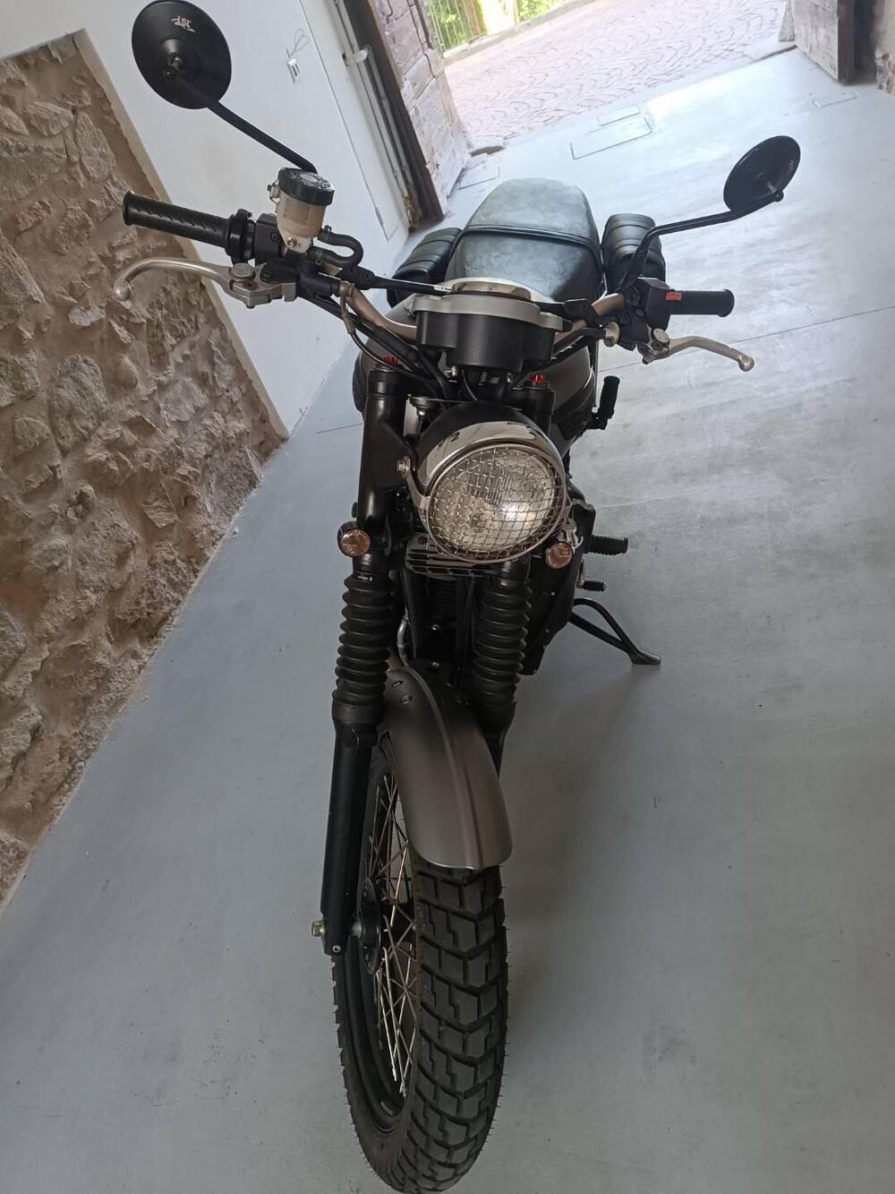 Triumph Scrambler (2006 - 17) (7)