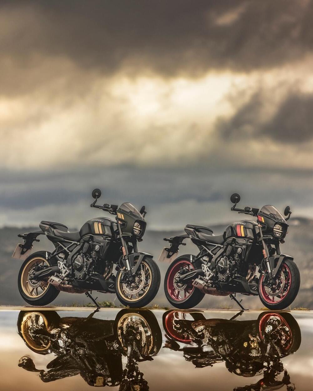 Suzuki GSX-8TT (2025 - 26) (20)