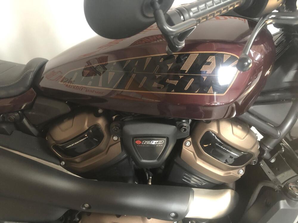 Harley-Davidson Sportster S (2022 - 24) (2)