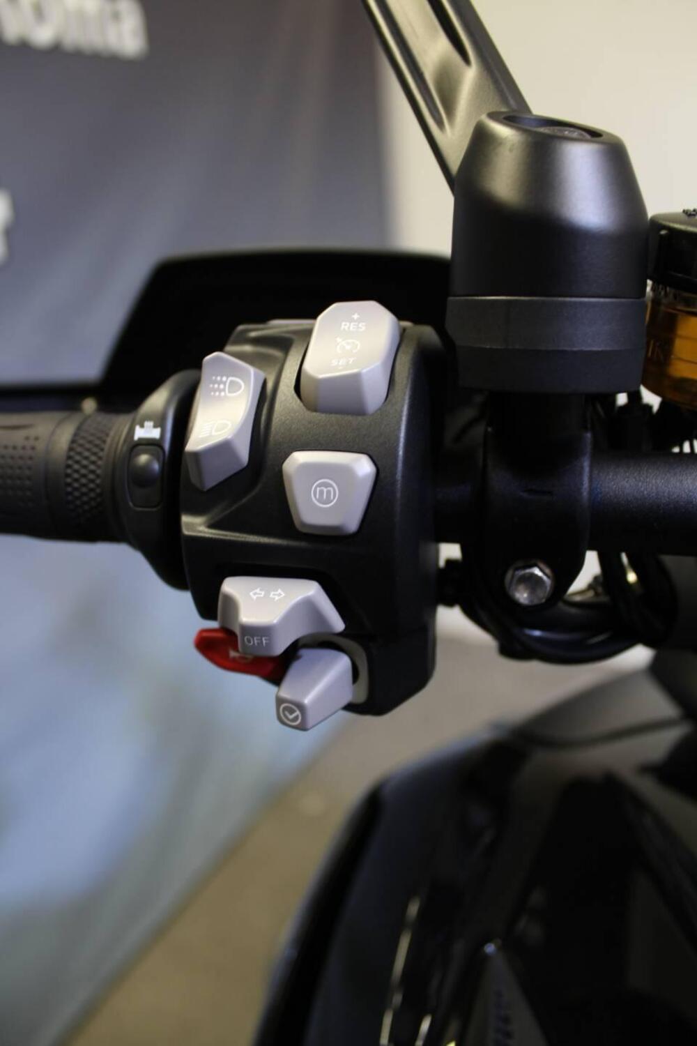 Triumph Tiger 1200 Rally Explorer (2024 - 25) (10)