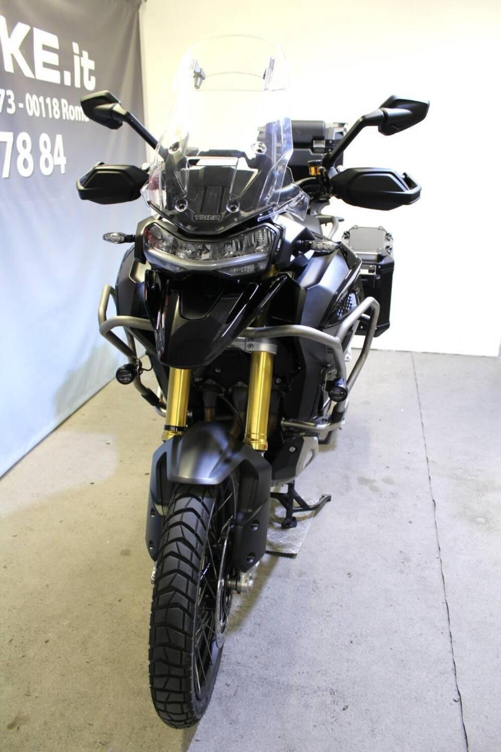 Triumph Tiger 1200 Rally Explorer (2024 - 25) (14)