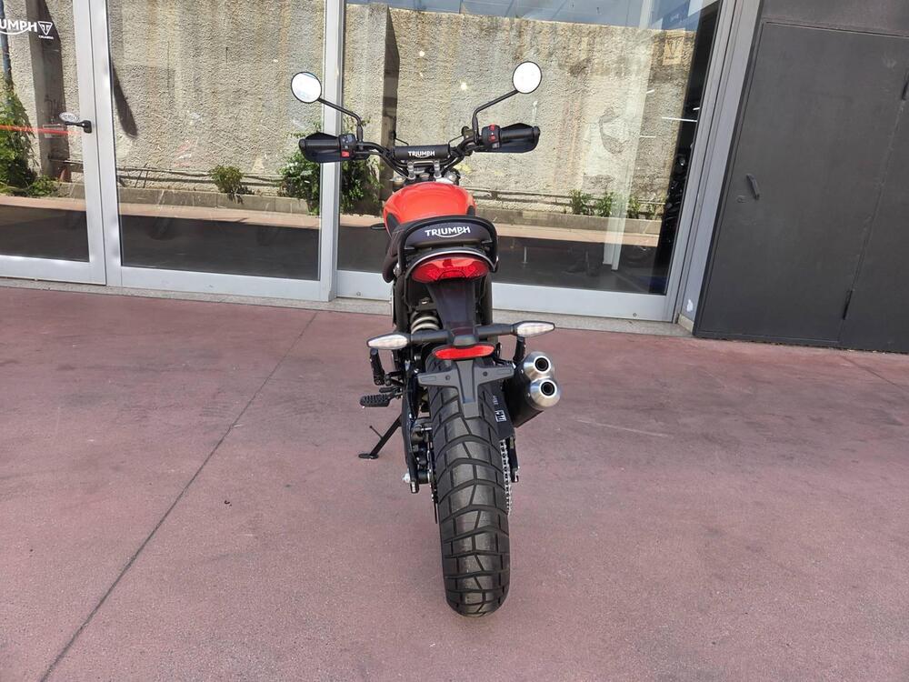 Triumph Scrambler 400 X (2024 - 26) (12)
