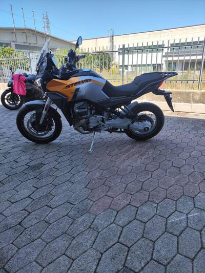 Moto Guzzi Stelvio (2024 - 25) usata