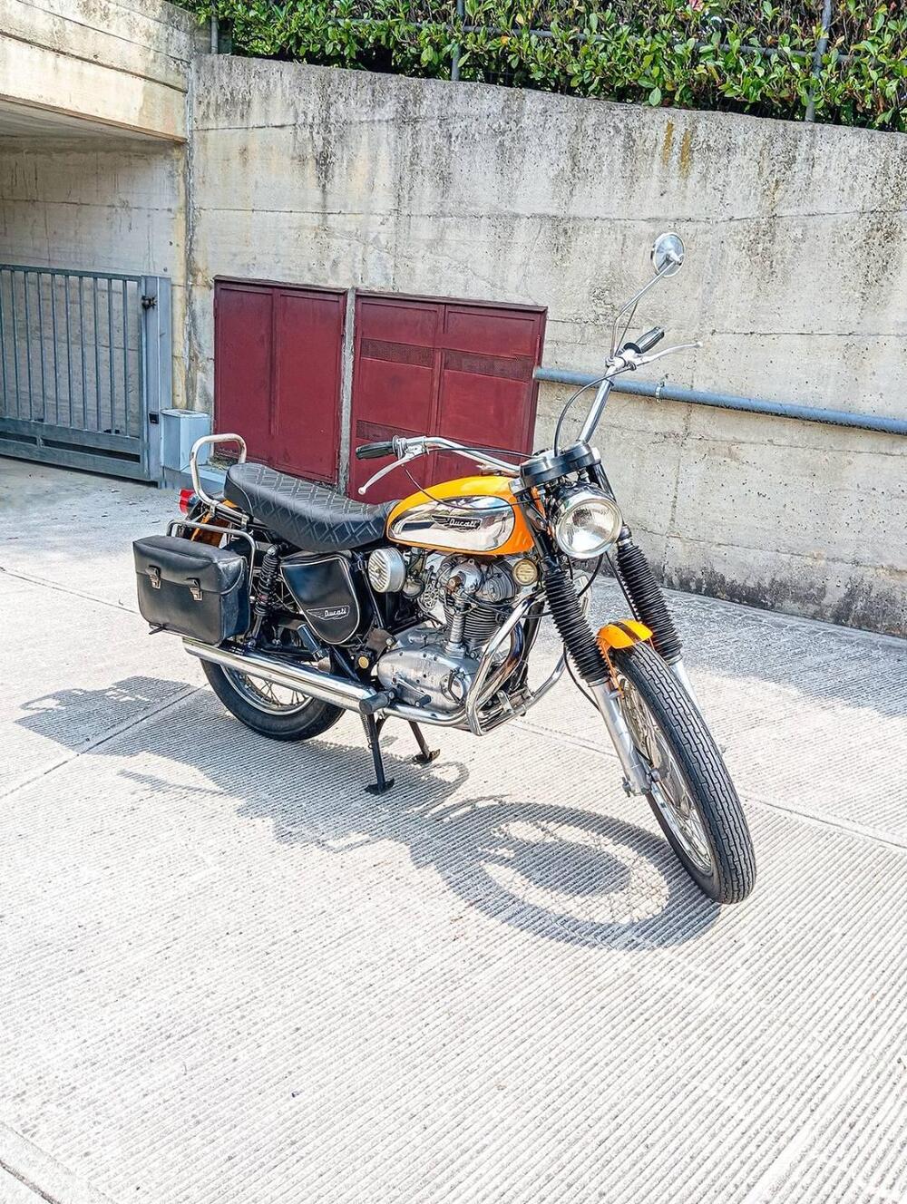 Ducati Scrambler (6)