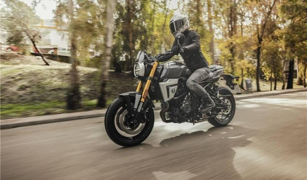 Suzuki GSX-8T (2025 - 26) (3)