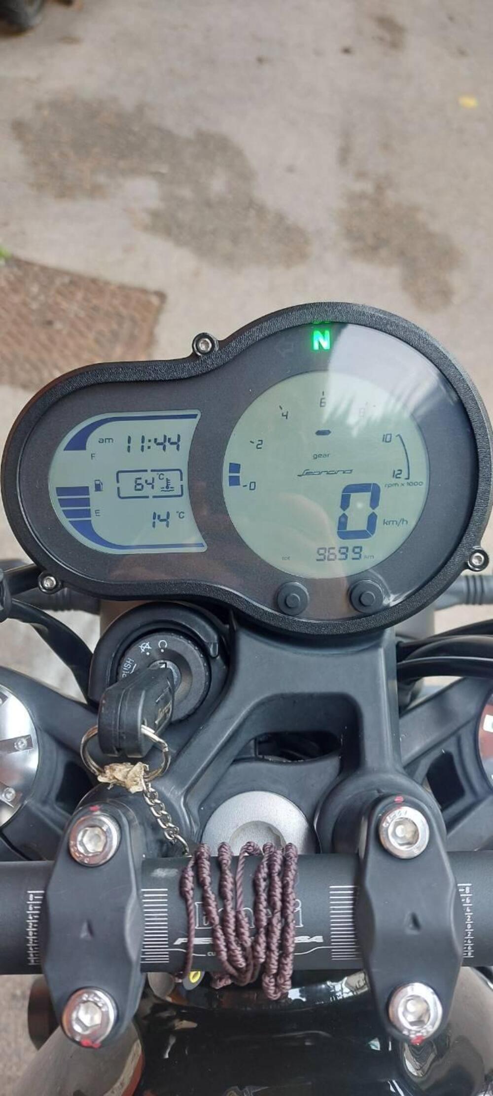 Benelli Leoncino 500 (2021 - 25) (7)