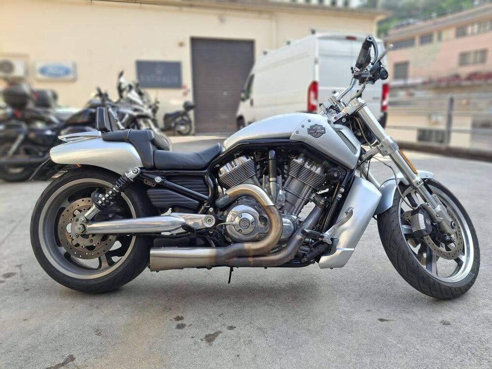 Harley-Davidson 1250 V-Rod Muscle (2009 - 17) - VRSCF