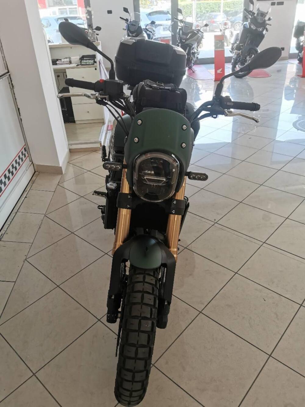 Benelli Leoncino 800 Trail (2022 - 26) (3)