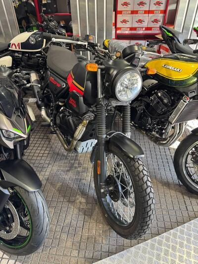 Royal Enfield Scram 411 (2022 - 24) usata