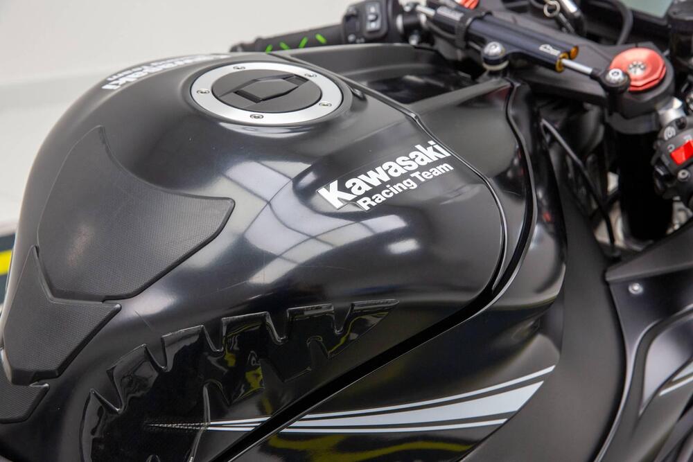 Kawasaki Ninja 1000 ZX-10RR (2017 - 18) (15)
