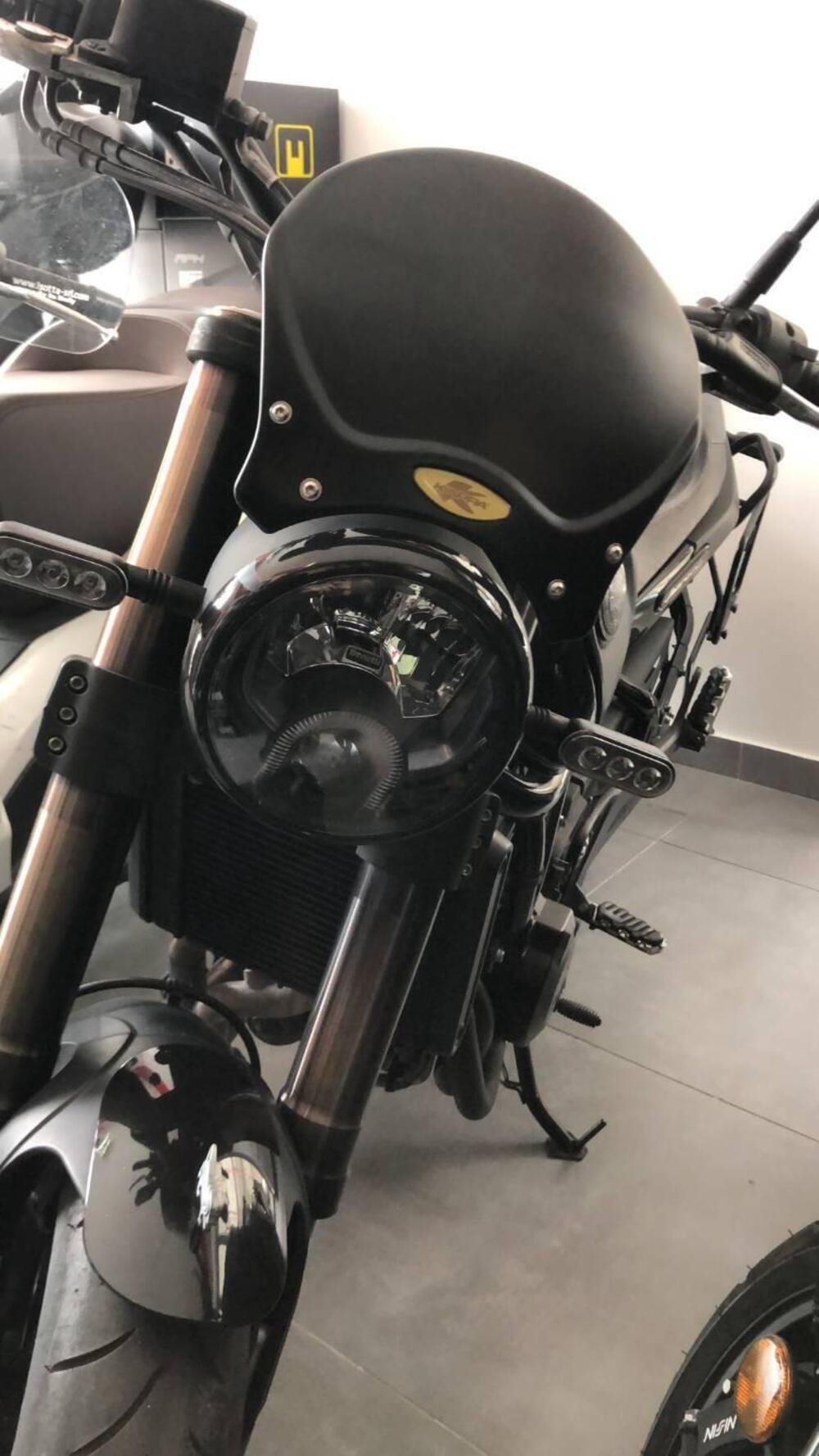 Benelli Leoncino 500 ABS (2017 - 20) (5)