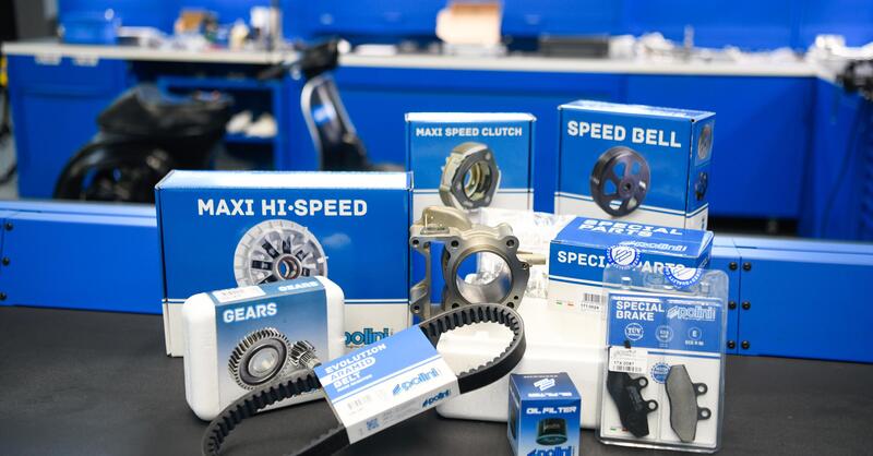 Kit gruppo termico Polini da 61 millimetri