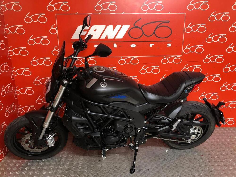 Benelli 502 C (2021 - 25) (3)