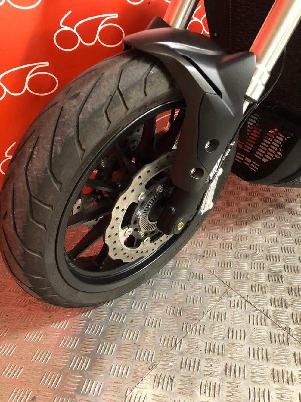 Benelli 502 C (2021 - 25) (5)