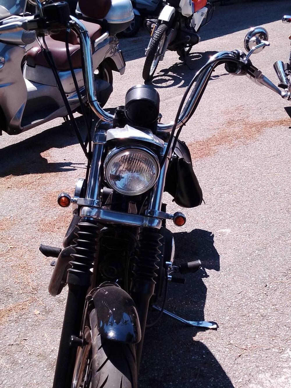 Harley-Davidson 883 Standard (1994 - 00) - XLH (6)