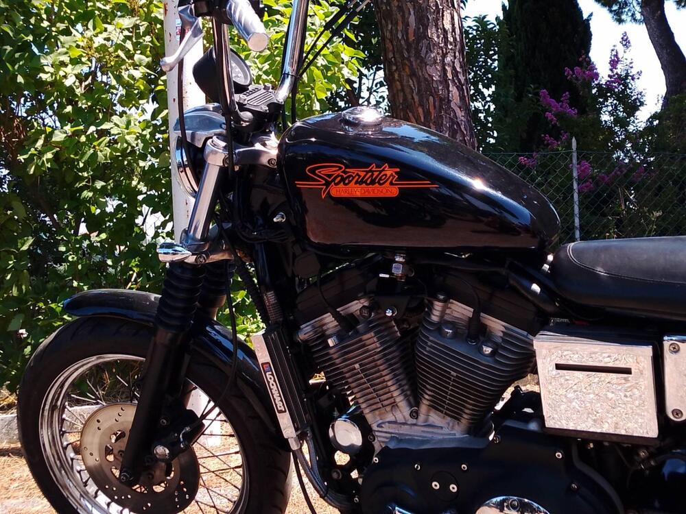 Harley-Davidson 883 Standard (1994 - 00) - XLH (2)