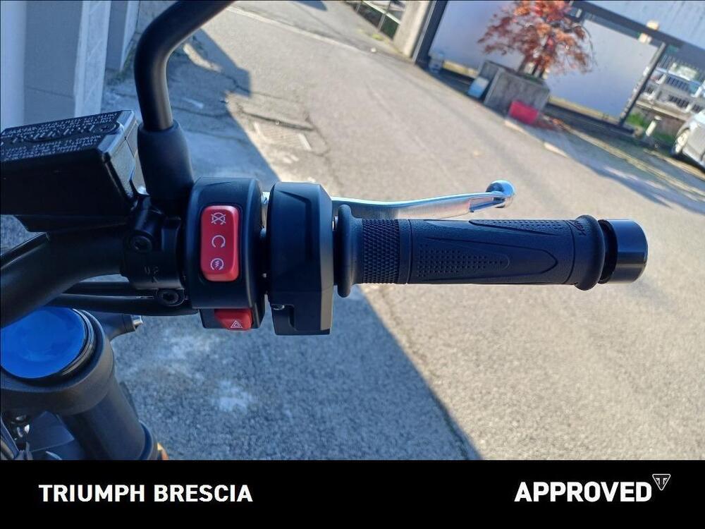 Triumph Trident 660 (2025) (9)