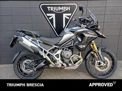 Triumph Tiger 1200 Rally Pro (2024 - 25) usata