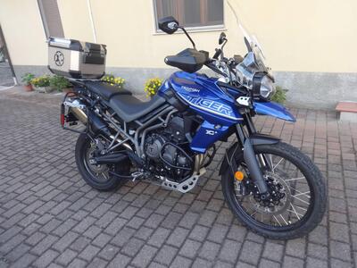 Triumph Tiger 800 XCa (2018 - 20) usata