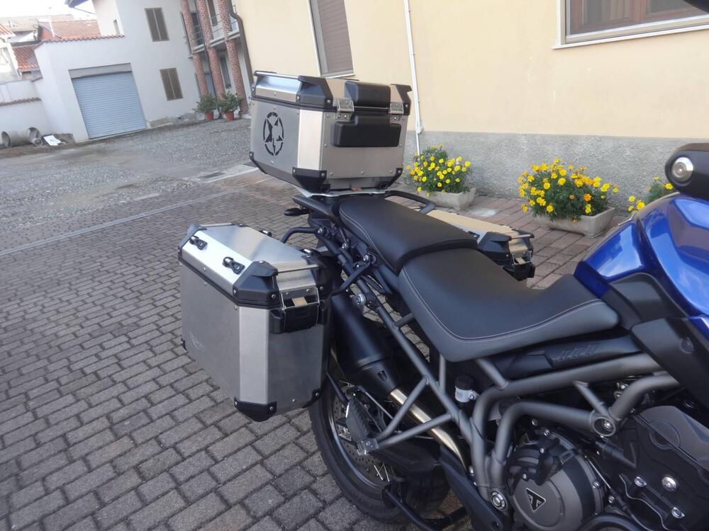 Triumph Tiger 800 XCa (2018 - 20) (16)