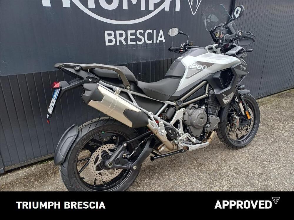 Triumph Tiger 1200 GT Pro (2024 - 26) (3)