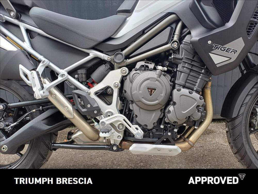 Triumph Tiger 1200 GT Pro (2024 - 26) (5)