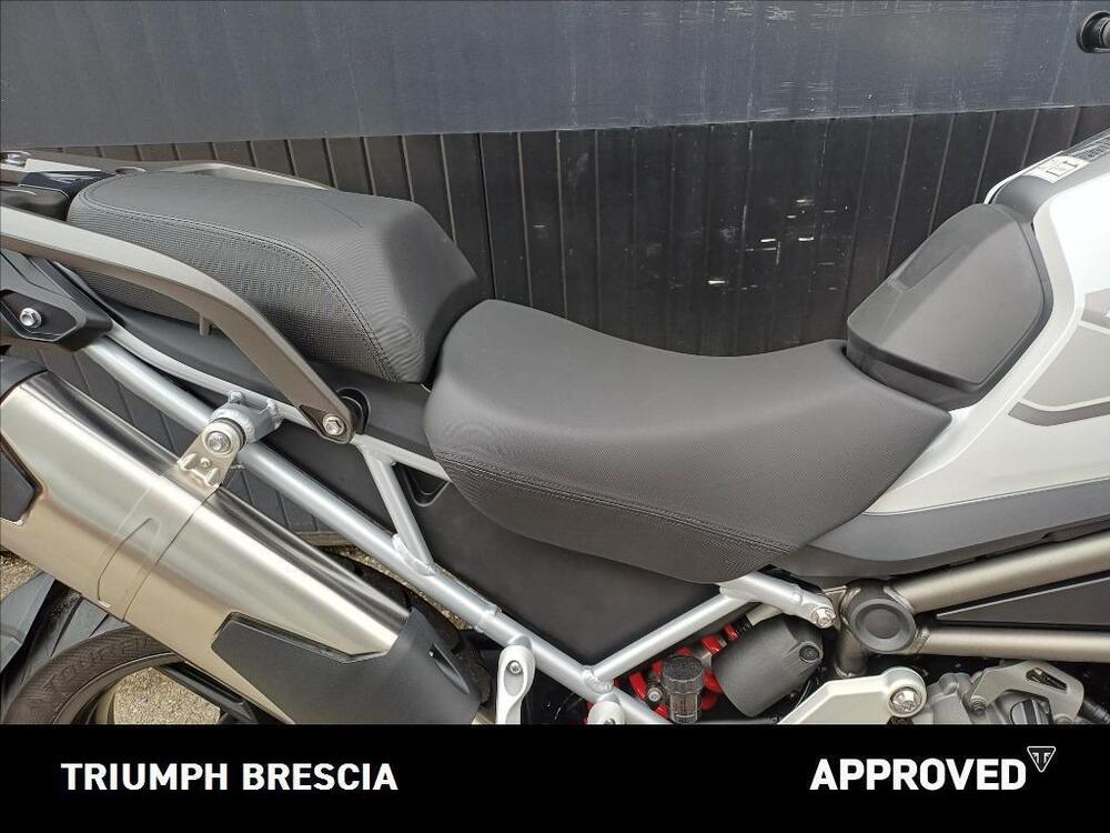 Triumph Tiger 1200 GT Pro (2024 - 26) (7)