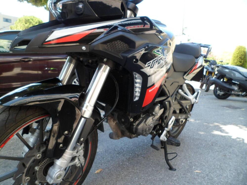 Benelli TRK 251 (2022 - 25) (6)