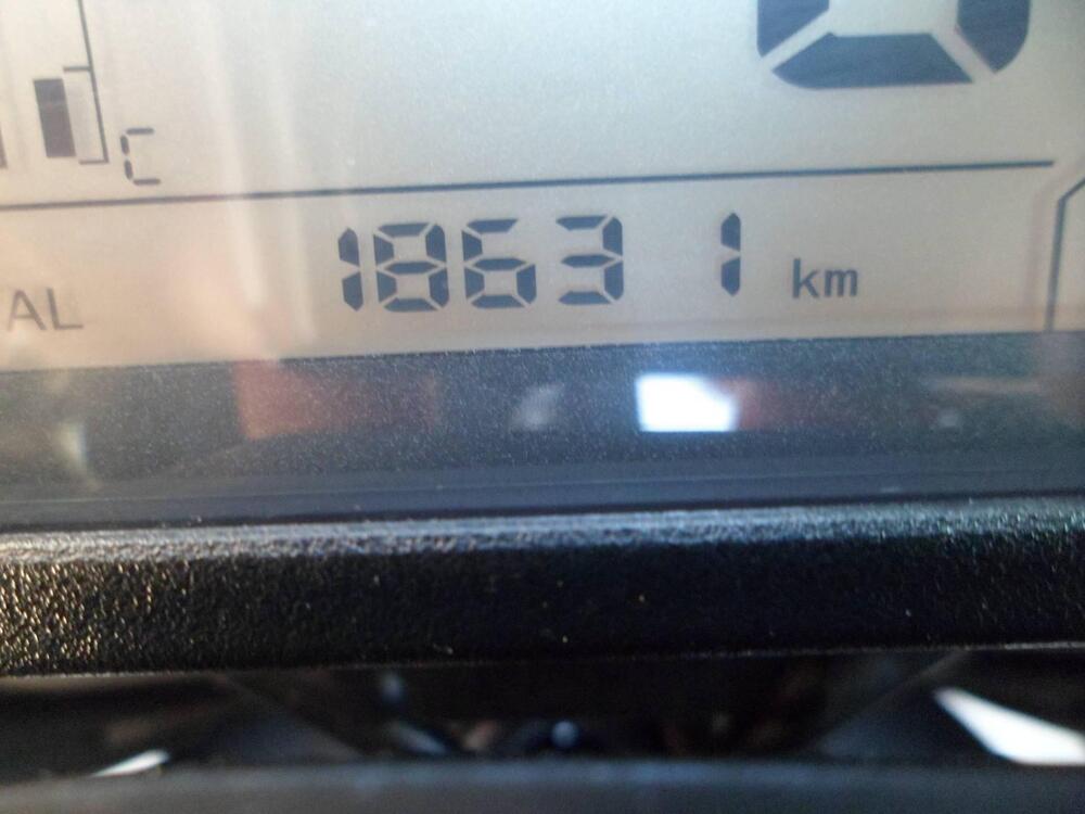 Benelli TRK 251 (2022 - 25) (9)