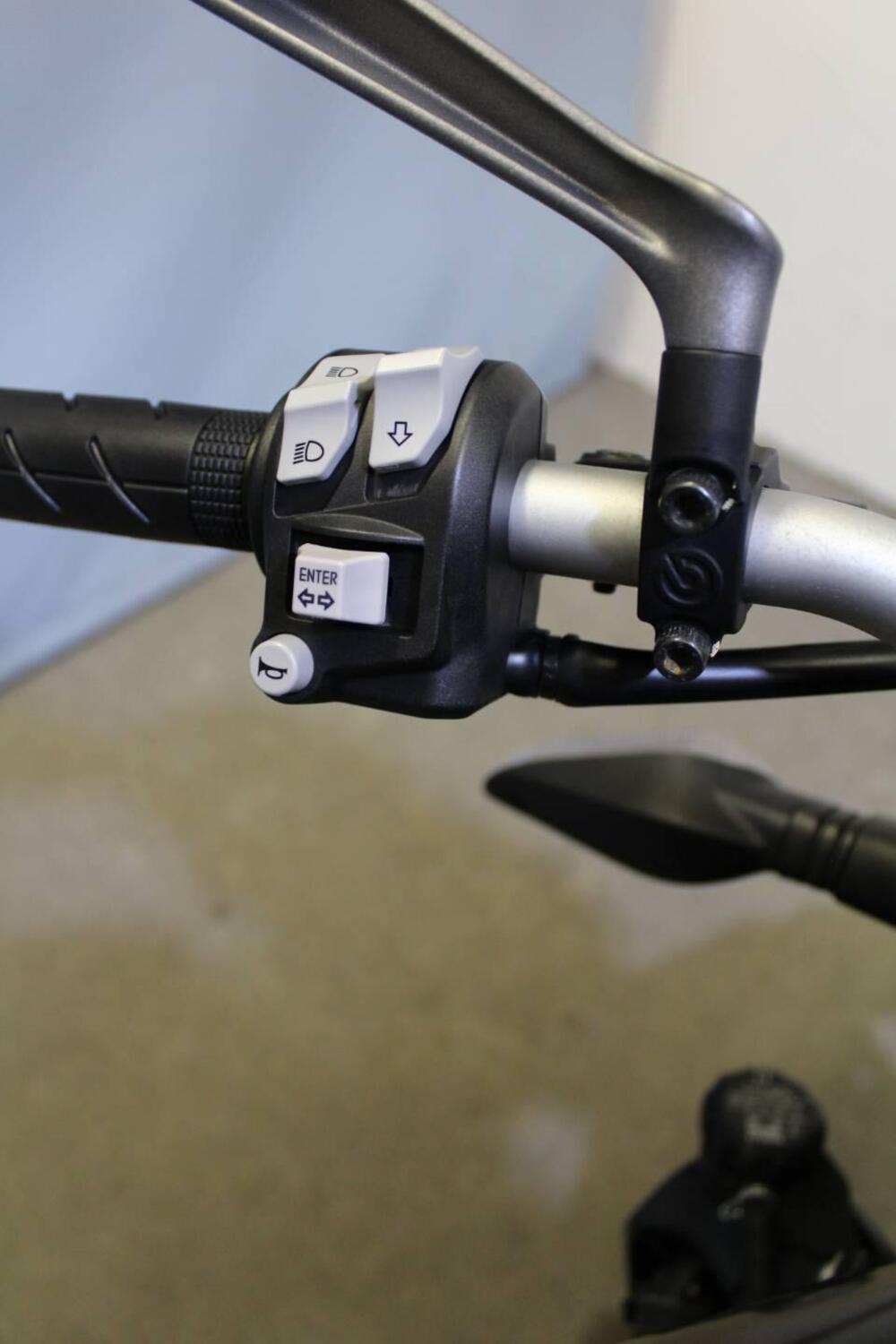 Ducati Monster 821 Stealth (2019 - 20) (10)