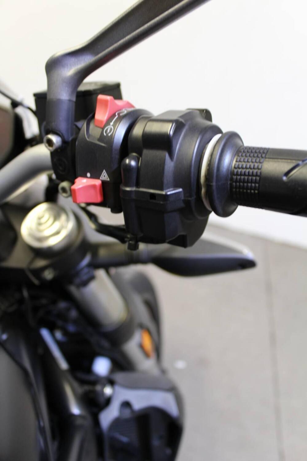 Ducati Monster 821 Stealth (2019 - 20) (11)