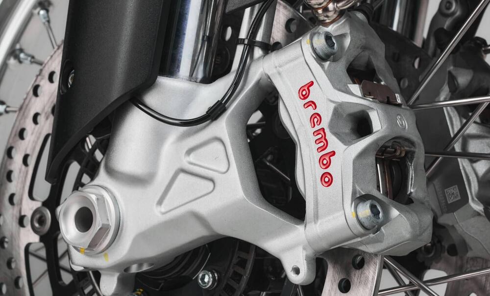 MV Agusta LXP Orioli (2024 - 26) (8)