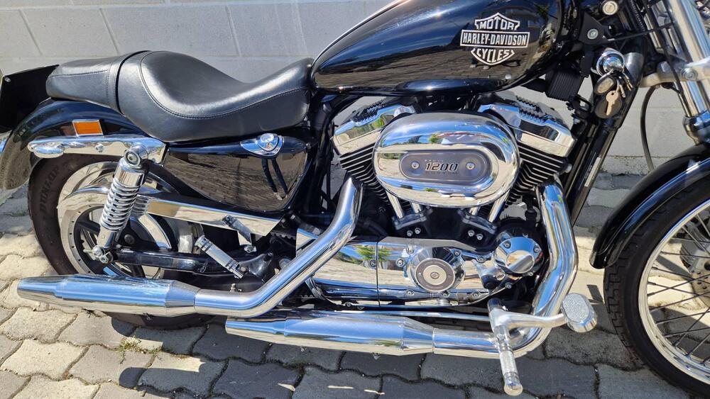 Harley-Davidson 1200 Custom (2004 - 06) - XL 1200C (6)