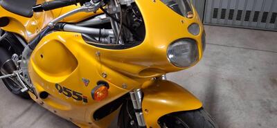 Triumph Daytona 955 I (1999 - 01) usata