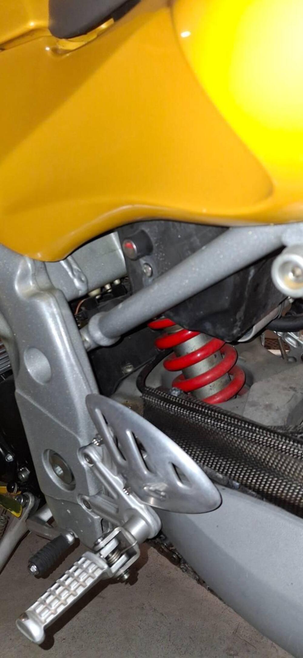 Triumph Daytona 955 I (1999 - 01) (6)