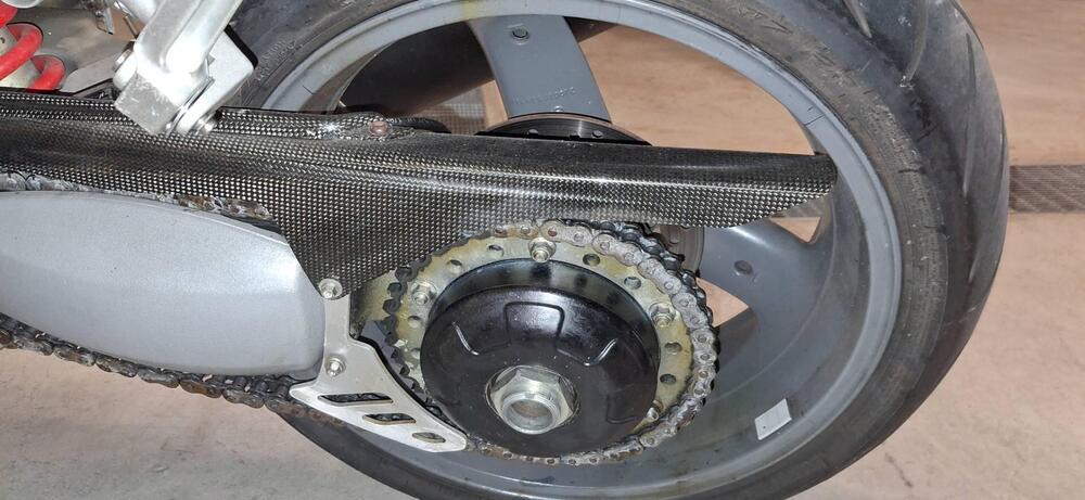 Triumph Daytona 955 I (1999 - 01) (8)